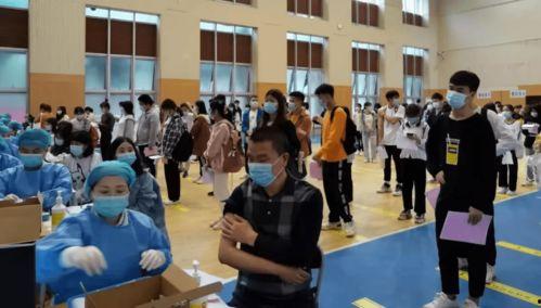 任县最新事件爆料信息,最新爆料揭示惊人真相 第3张 任县最新事件爆料信息,最新爆料揭示惊人真相 第3张